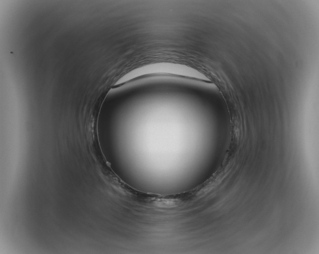 X0000113130332200909110919