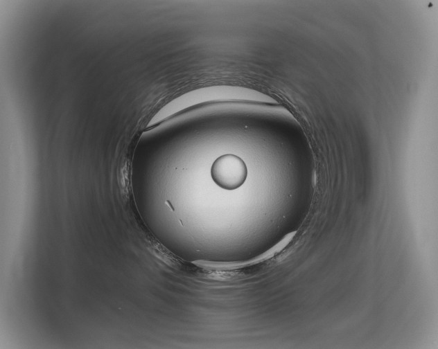 X0000113130336200909110919