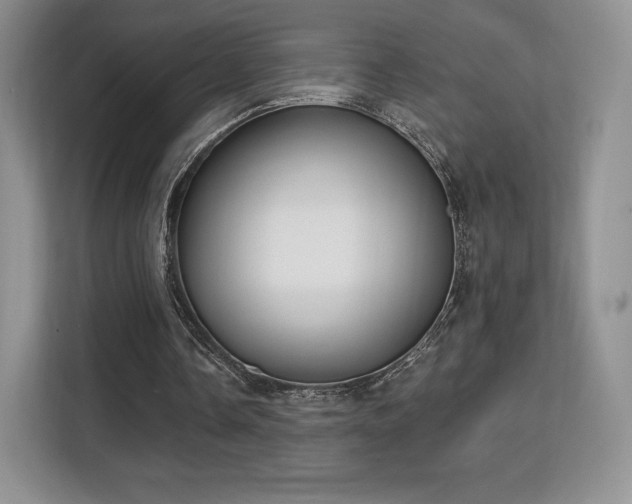 X0000113130338200909110918