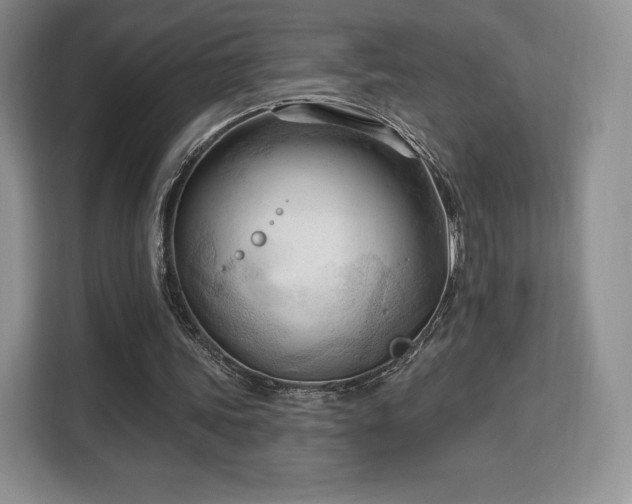 X0000113130339200909110918