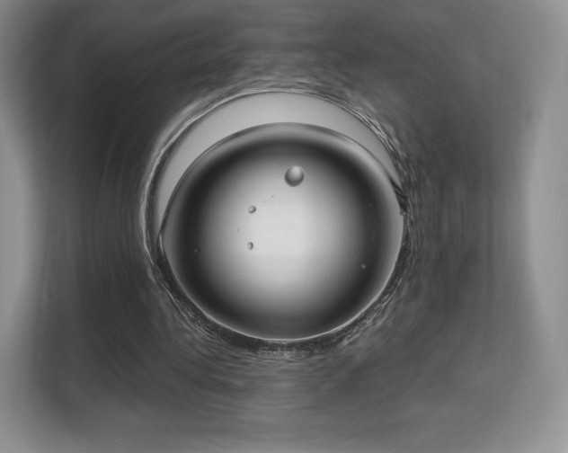 X0000113130340200909110918