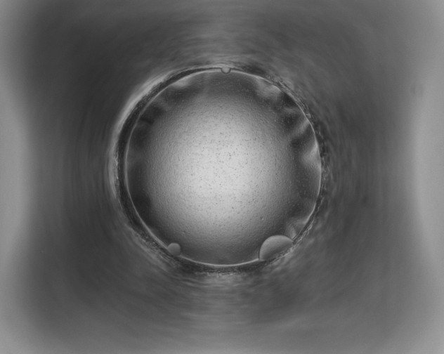 X0000113130342200909110918