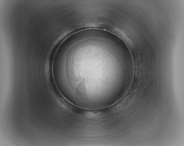 X0000113130346200909110918