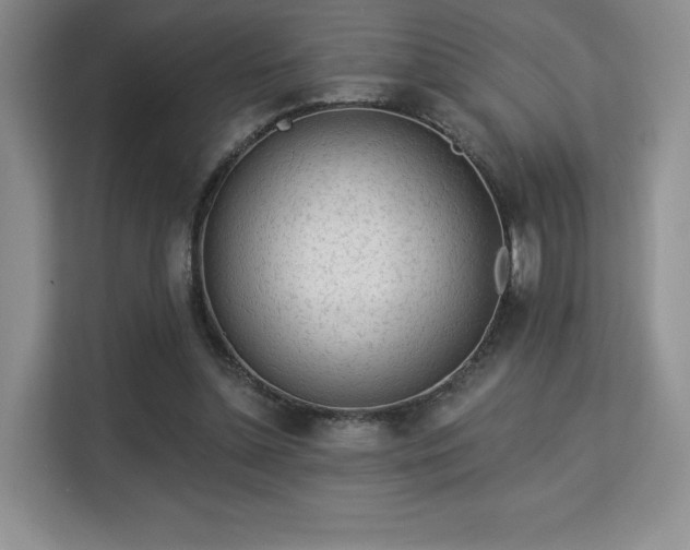 X0000113130348200909110918