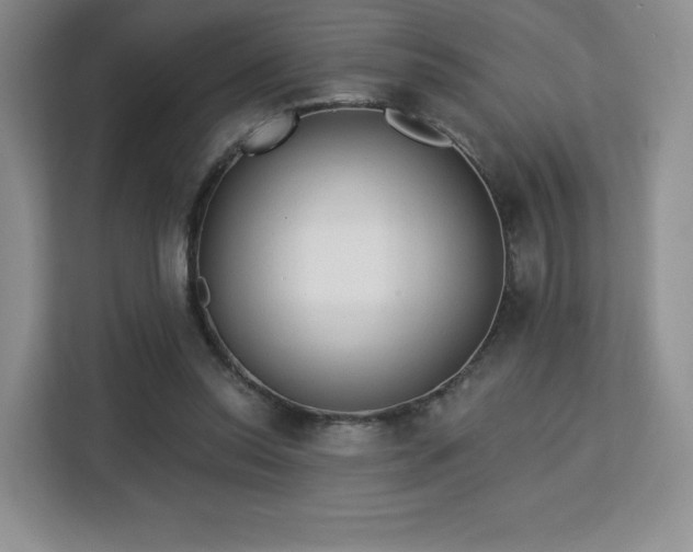 X0000113130350200909110918