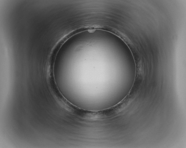 X0000113130351200909110918