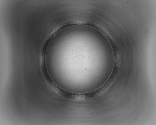 X0000113130355200909110918