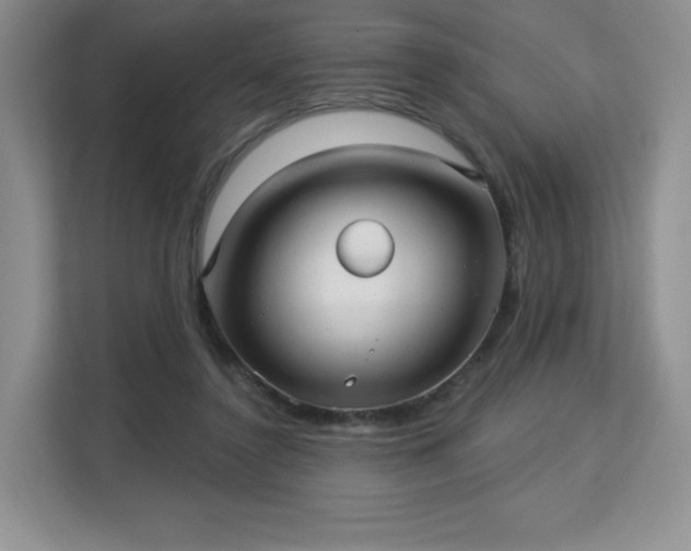 X0000113130356200909110918