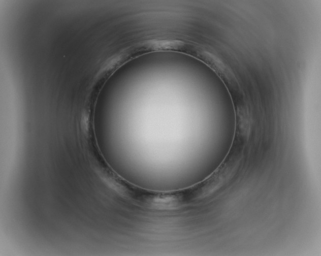 X0000113130357200909110918