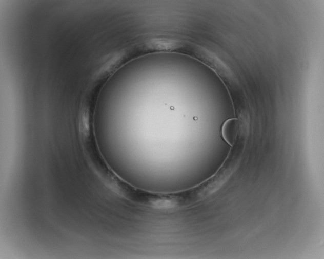 X0000113130358200909110918