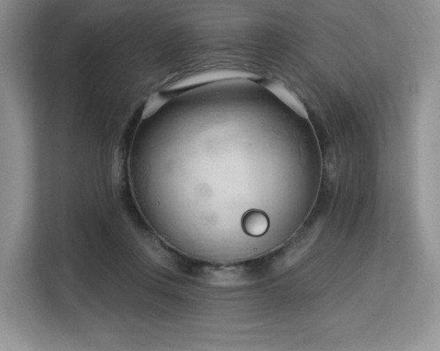 X0000113130359200909110918