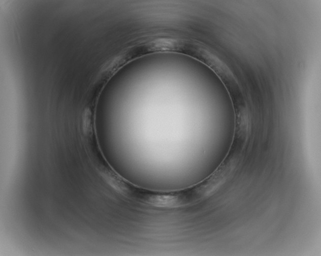 X0000113130361200909110918