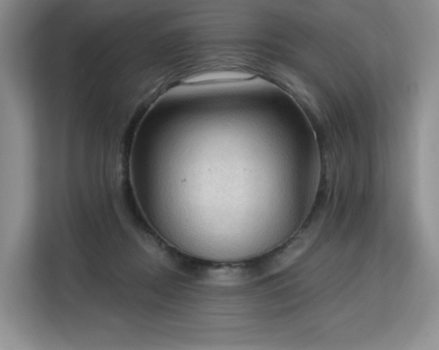 X0000113130362200909110918