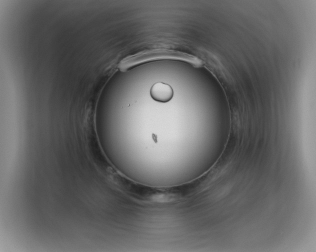 X0000113130364200909110918