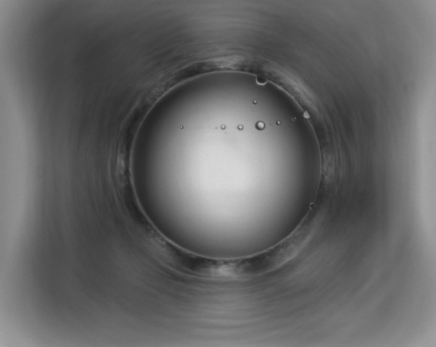 X0000113130365200909110918