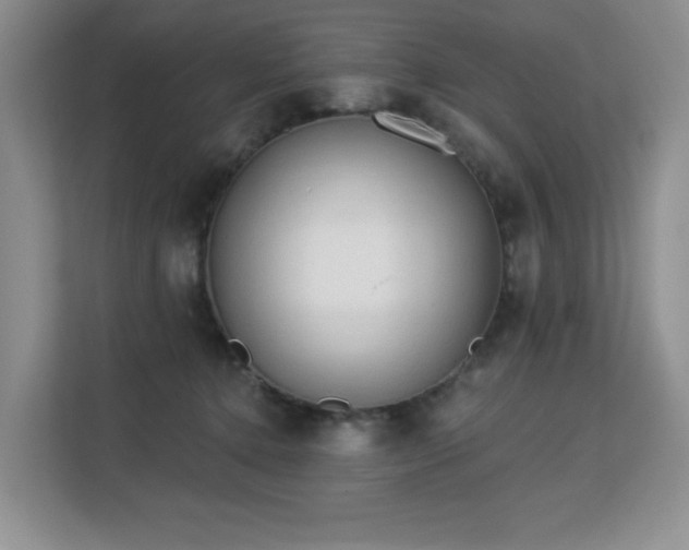 X0000113130368200909110919