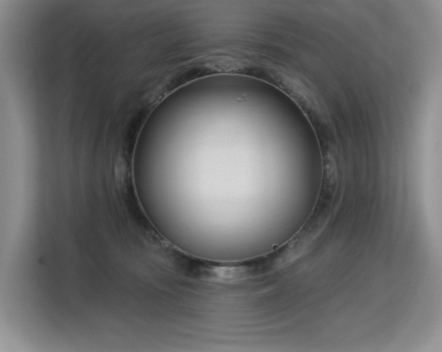 X0000113130371200909110919