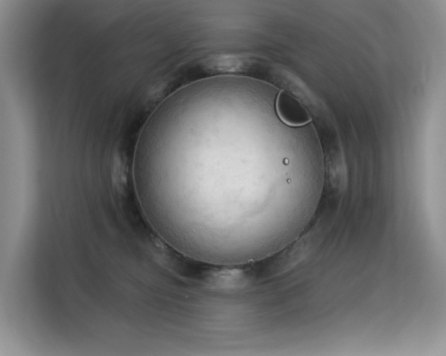 X0000113130374200909110919