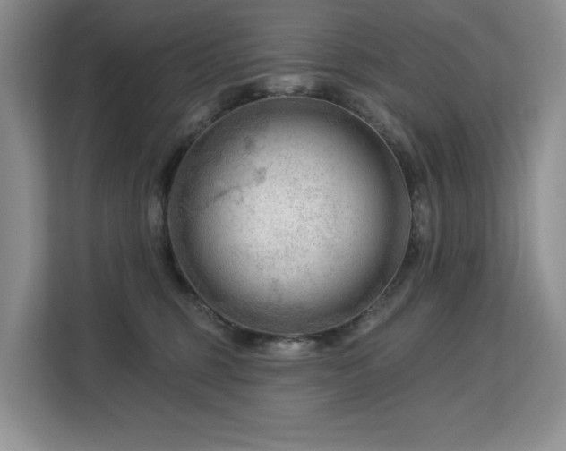 X0000113130375200909110919