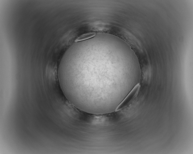 X0000113130376200909110919