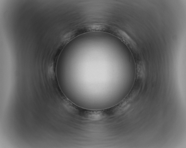 X0000113130377200909110919