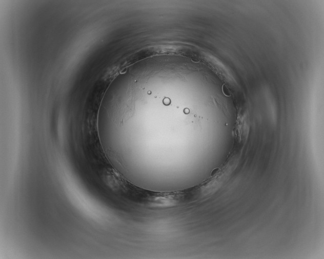 X0000113130381200909110919