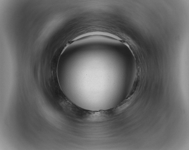 X0000113130382200909110919