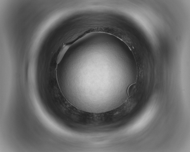 X0000113130383200909110919