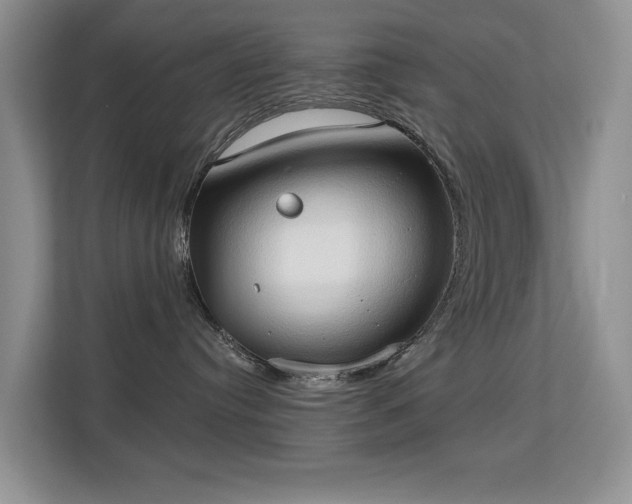 X0000113130384200909110919