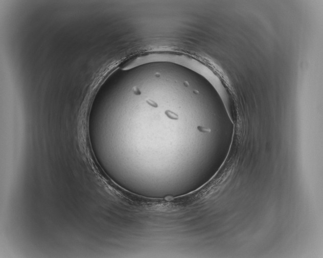 X0000113130385200909110918