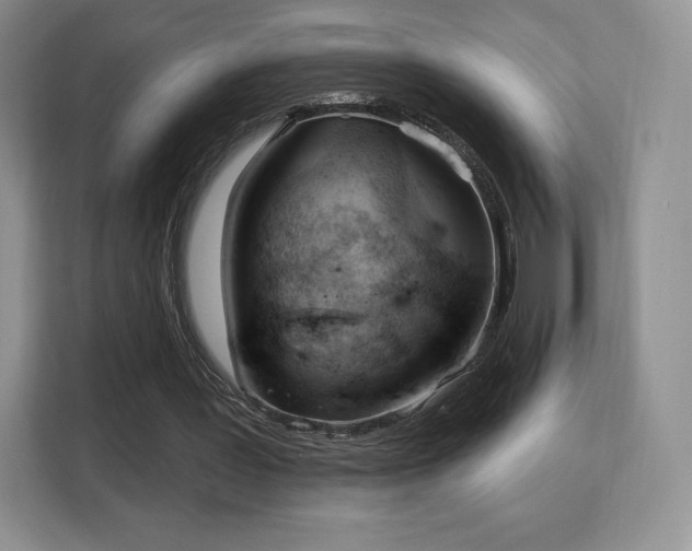 X0000113130387200909110918