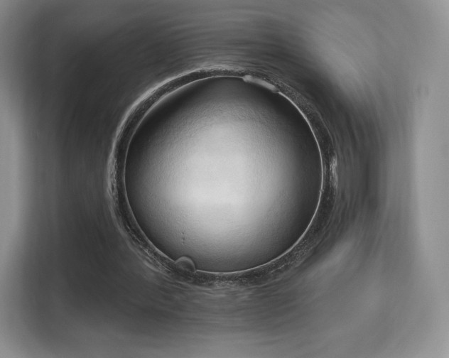 X0000113130388200909110918