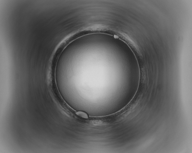 X0000113130392200909110918