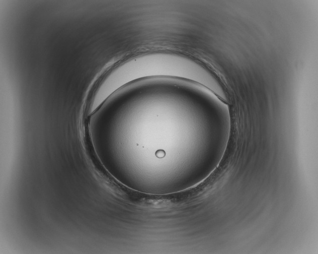 X0000113130395200909110918