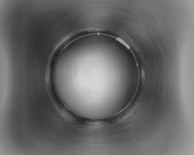 X0000113130396200909110918