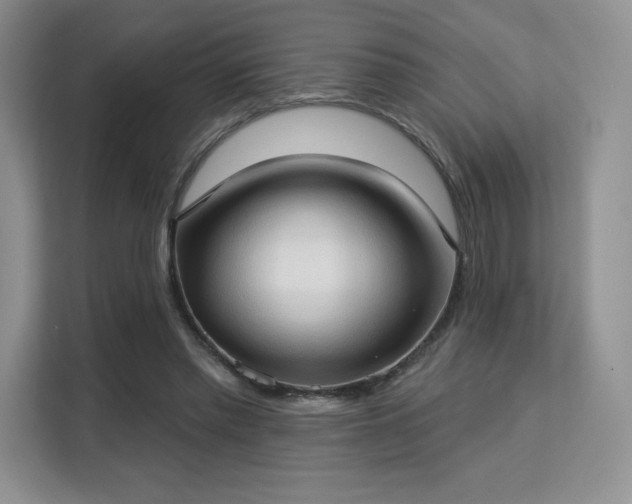 X0000113130397200909110918