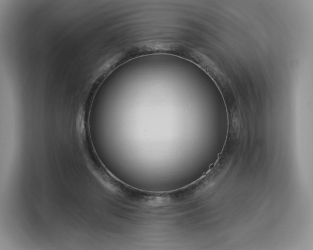 X0000113130398200909110918