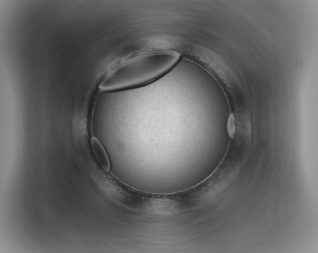 X0000113130399200909110918