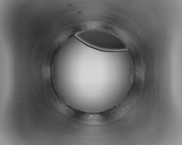 X0000113130401200909110918