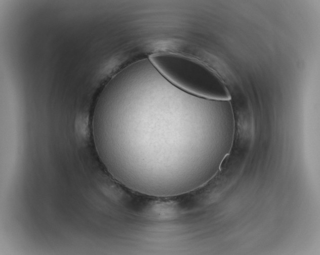 X0000113130403200909110918