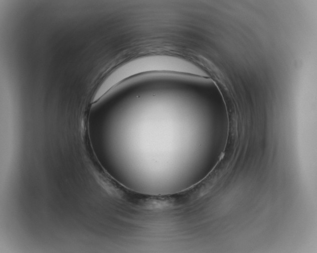 X0000113130405200909110918