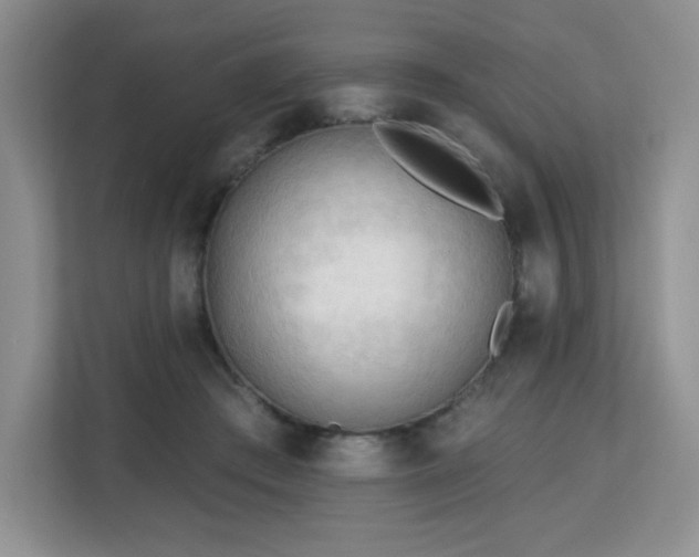 X0000113130409200909110918