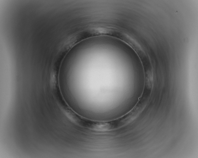 X0000113130410200909110918