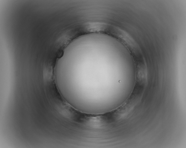 X0000113130411200909110918