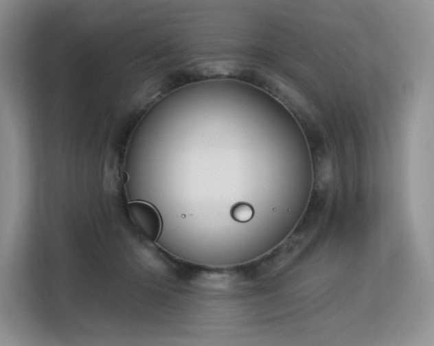 X0000113130414200909110918