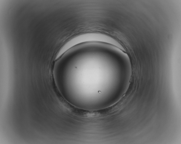 X0000113130415200909110918