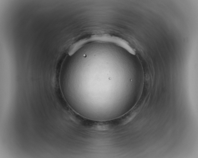 X0000113130416200909110918