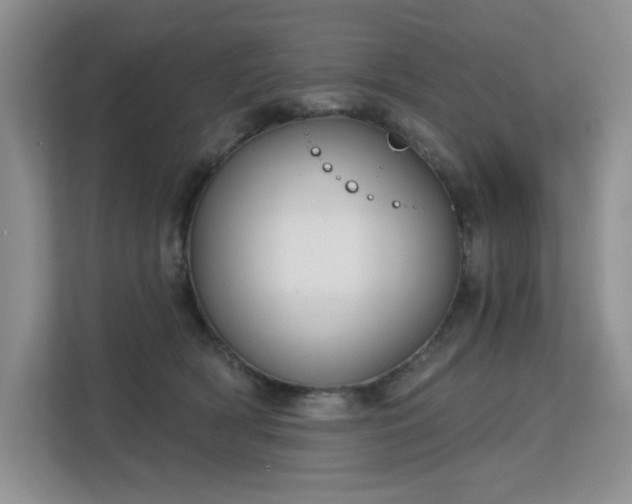 X0000113130418200909110918