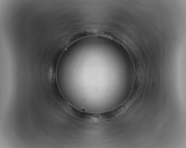 X0000113130420200909110918