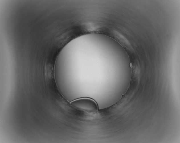 X0000113130421200909110918